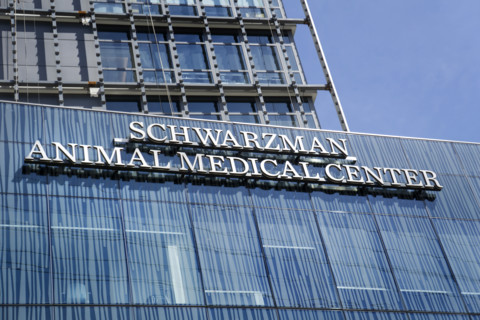 Schwarzman Animal Medical Center, building exterior, New York City, New York, USA