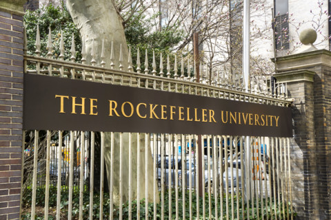 The Rockefeller University, a  private biomedical research and graduate-only university, university