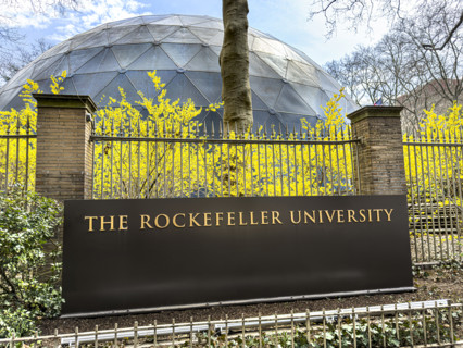 The Rockefeller University, a  private biomedical research and graduate-only university, university