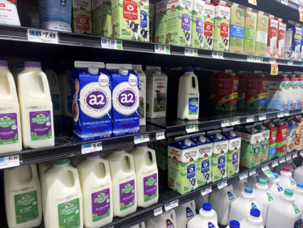 Milk section in grocery store, Brooklyn, New York, USA