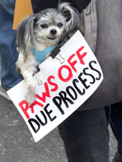 Demonstrators participating in "Our City, Our Fight: Protect Migrants, Protect the Planet" protest,