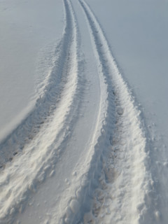 Tire tracks in snow