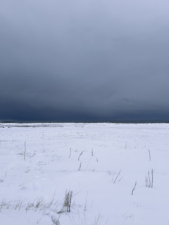 Snowy field with dramatic gray sky
