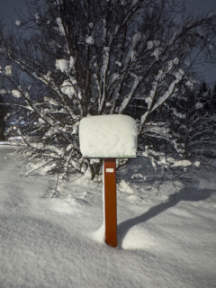 Signpost and trees covered in snow at night