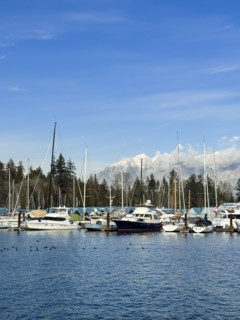 Boats in harbor with majestic snow-covered mountains in background, Coal Harbour, Vancouver,