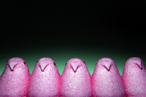 Marshmallow Chicks