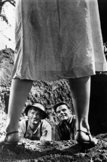 Tina Louise (legs), Robert Ryan, jack Lord, on-set of the film, "God's Little Acre", United