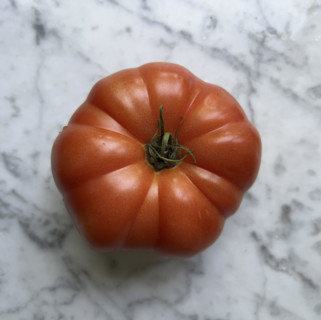 High angle view of heirloom tomato