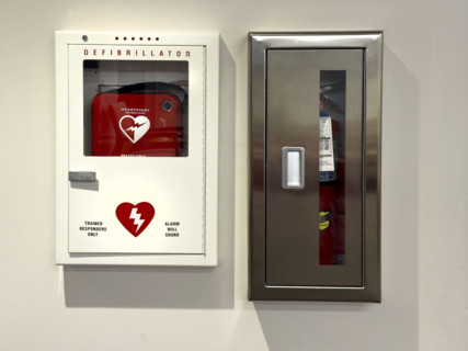 Wall-mounted defibrillator and fire extinguisher