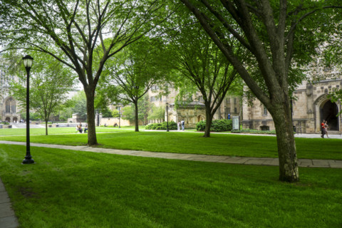 Campus Scene, Yale University, New Haven