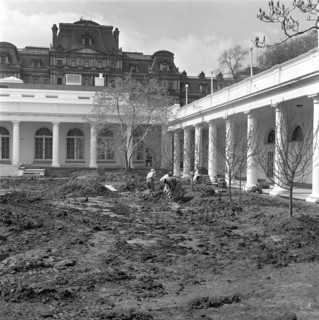 Three unidentified workers dig into section of the lawn at the Rose Garden construction site near