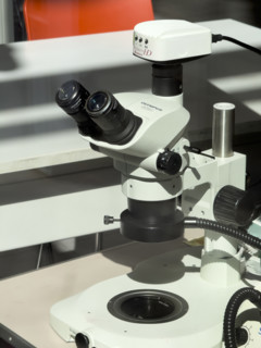 Olympus SZ61 Microscope in research laboratory, BioBase Harlem, Zuckerman Institute, Columbia