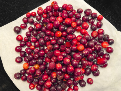 high angle view of pile of ranberries