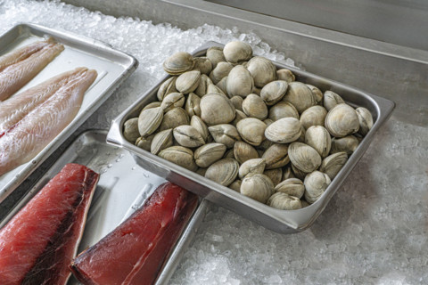 Fresh seafood display, Rozzo's Fish Market, 159 9th Avenue, Manhattan, New York City, New York, USA