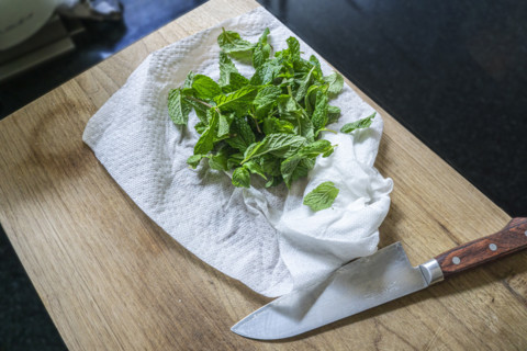 High angle view of fresh mint leaves on cutting board