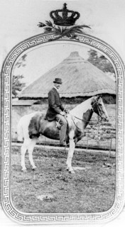 Le Prince Robert d'Orléans