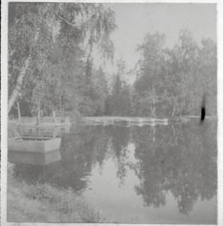 Le Parc de Pavolvsk, Saint-Pétersbourg