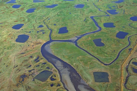 Baie de Somme