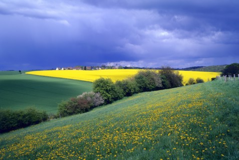 Landscape of agricultural countryside in the Vexin