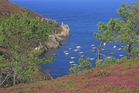 Paysage côtier de la baie de Douarnenez, Finistère