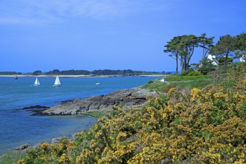 Golfe du Morbihan, Morbihan