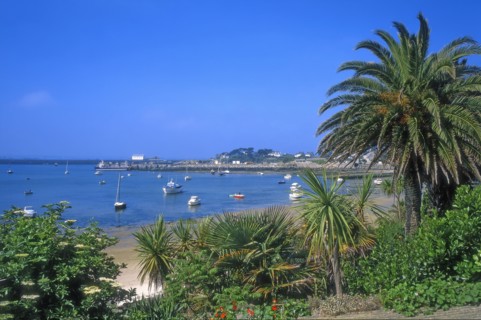 Ile de Batz, Finistère