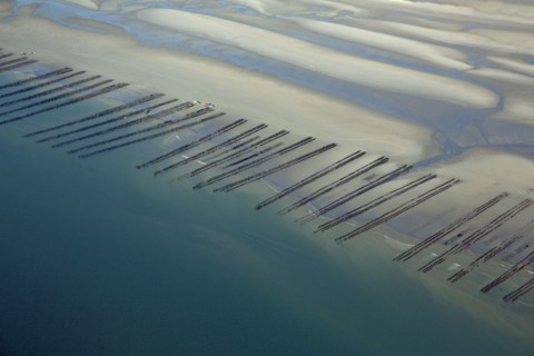 Côte d'Opale, Somme