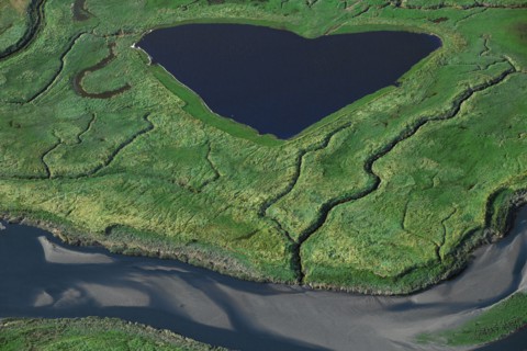 Baie de Somme, Somme