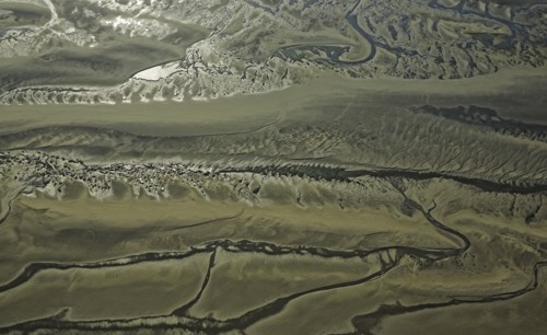 Baie d'Authie, Pas-de-Calais