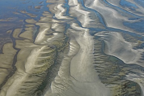 Baie d'Authie, Pas-de-Calais