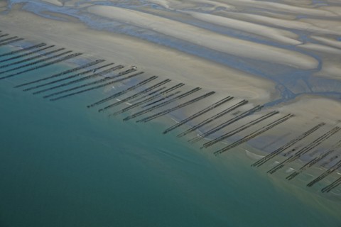 Côte d'Opale, Somme
