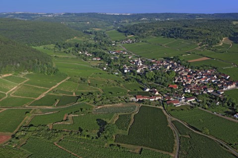 Auxey-Duresses, Côte-d'Or