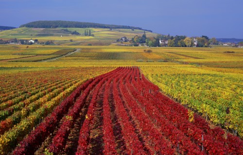 Aloxe-Corton, Côte-d'Or
