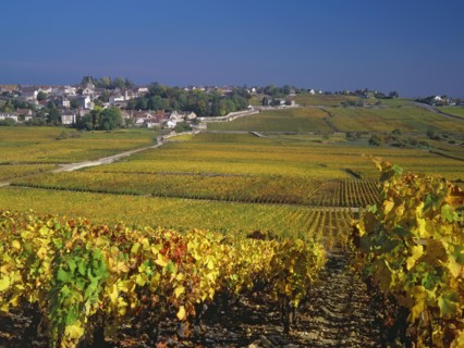Pernand-Vergelesses, Côte-d'Or