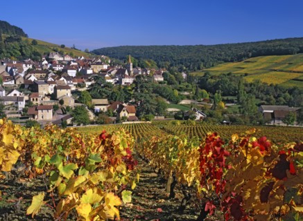 Pernand-Vergelesses, Côte-d'Or