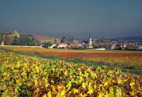Santenay, Côte-d'Or