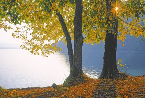Le lac de Chalain, Jura