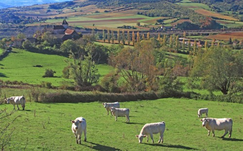Paysage de Bourgogne vers Cluny