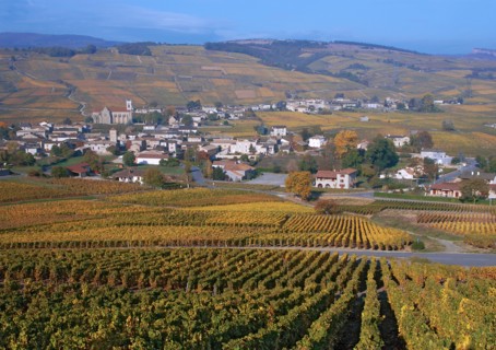 Pouilly-Fuissé, Saône-et-Loire