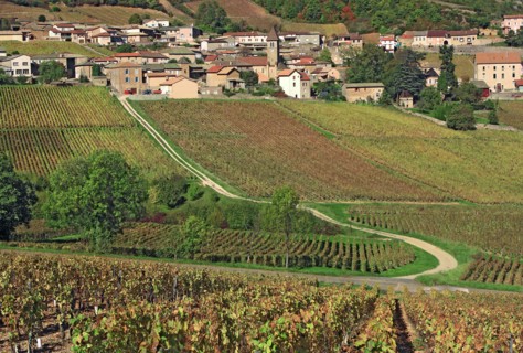 Solutré, Saône-et-Loire