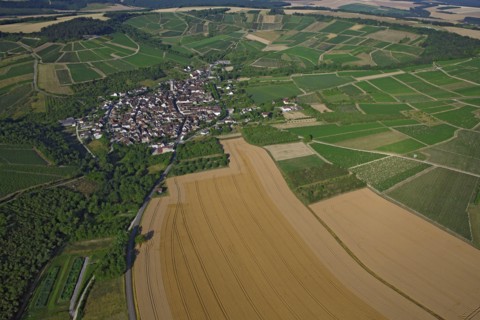 Irancy, Yonne