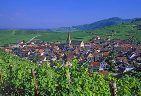 Niedermorschwihr, Haut-Rhin