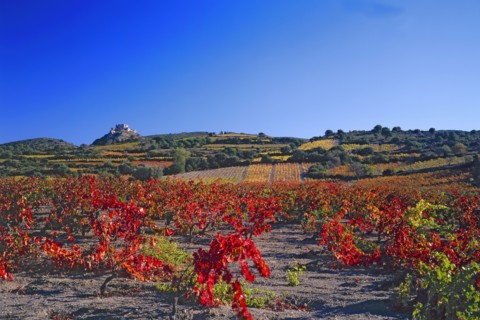 Tuchan, Aude