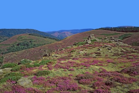 Paysage des Cévennes