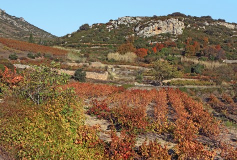 Vignoble des Corbières, Pyrénées-Orientales