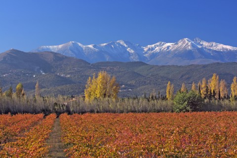 Massif du Canigou, Pyrénées-Orientales