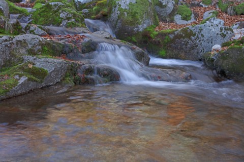 Cascade, Lozère