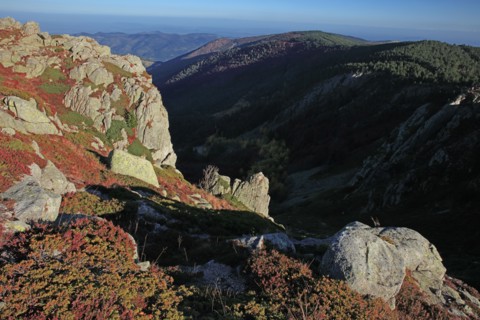 Génolhac, Gard