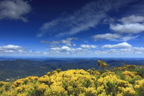 Massif du Mont Lozère, Lozère