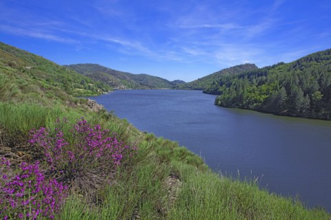 Lac de Villefort, Lozère